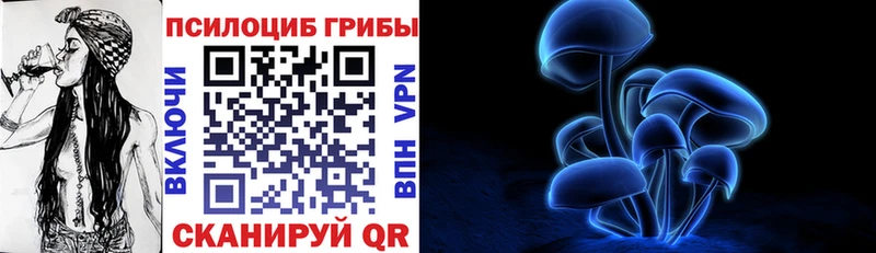 Купить где  Выборг  Псилоцибиновые грибы Psilocybine cubensis 