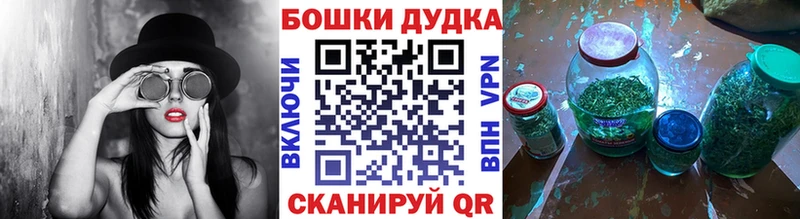 Бошки Шишки план  Купить закладки  Выборг 